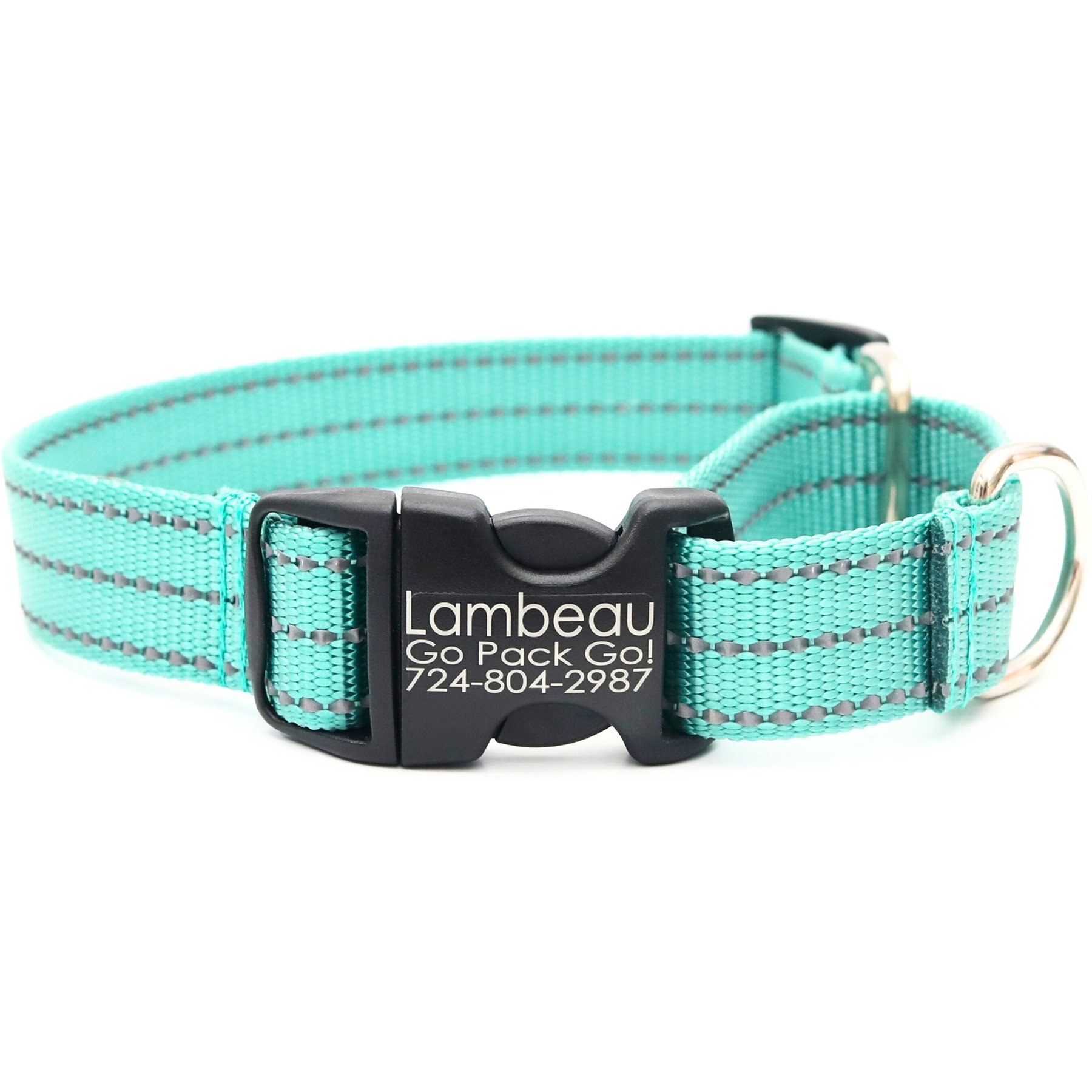 Mimi Green Personalized Nylon Reflective Martingale Dog Collar, Teal, Medium/Large: 15 to 18-in neck, 1-in wide