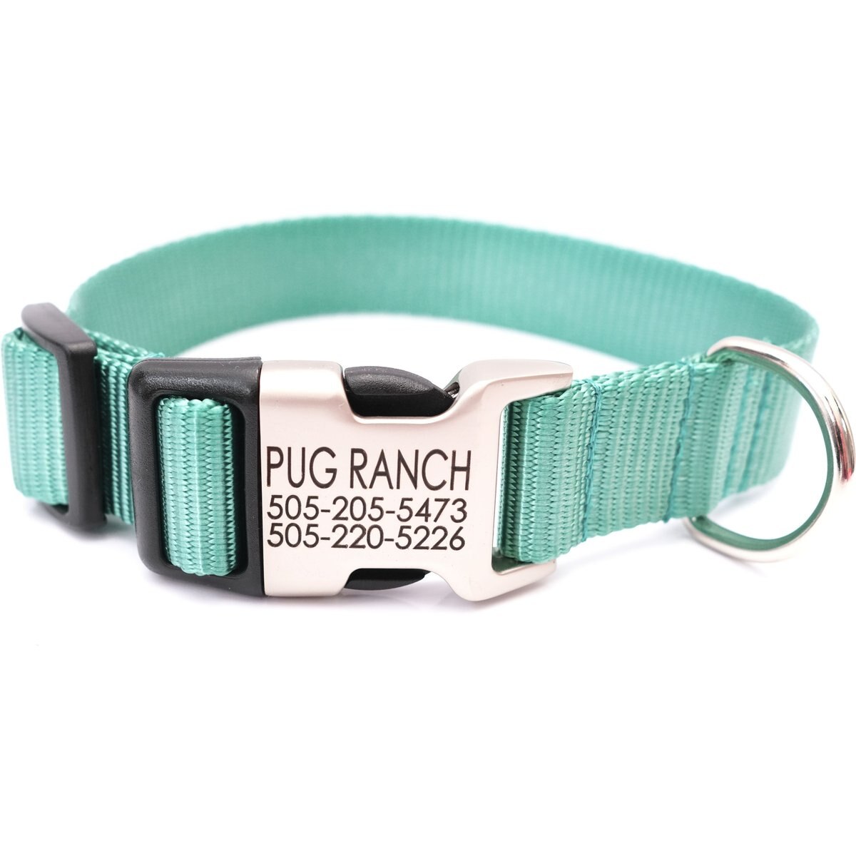 Mimi Green Personalized Nylon with Metal Hybrid Buckle Dog Collar, Teal, Small