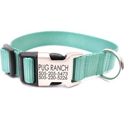 Mimi Green Mimi Green Personalized Nylon with Metal Hybrid Buckle Dog Collar, Teal, Small