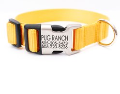 Mimi Green Personalized Nylon with Metal Hybrid Buckle Dog Collar, Yellow, X-Large