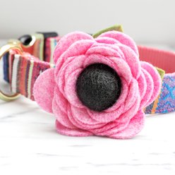 Mimi Green Poppy Flower Dog Collar Accessory, Pixie Pink, Medium