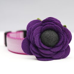 Mimi Green Poppy Flower Dog Collar Accessory, Purple, Medium