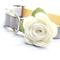 Show in main carousel: Mimi Green Rose Flower Dog Collar Accessory, Cream, Small slide 1 of 4