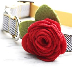 Mimi Green Rose Flower Dog Collar Accessory, Red, Medium