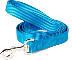 Mimi Green Shiny Silver Clip Nylon Standard Dog Leash, Peacock Blue, 5-ft long, 1-in wide