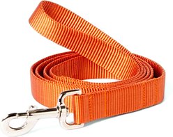 Mimi Green Shiny Silver Clip Nylon Standard Dog Leash, Pumpkin, 6-ft long, 1-in wide