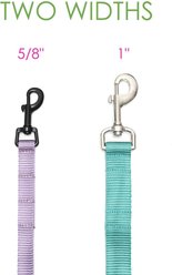 Mimi Green Shiny Silver Clip Nylon Standard Dog Leash, Purple, 6-ft long, 1-in wide slide 2 of 3
