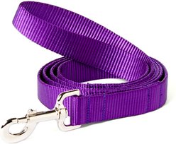 Mimi Green Shiny Silver Clip Nylon Standard Dog Leash, Purple, 6-ft long, 1-in wide slide 1 of 3
