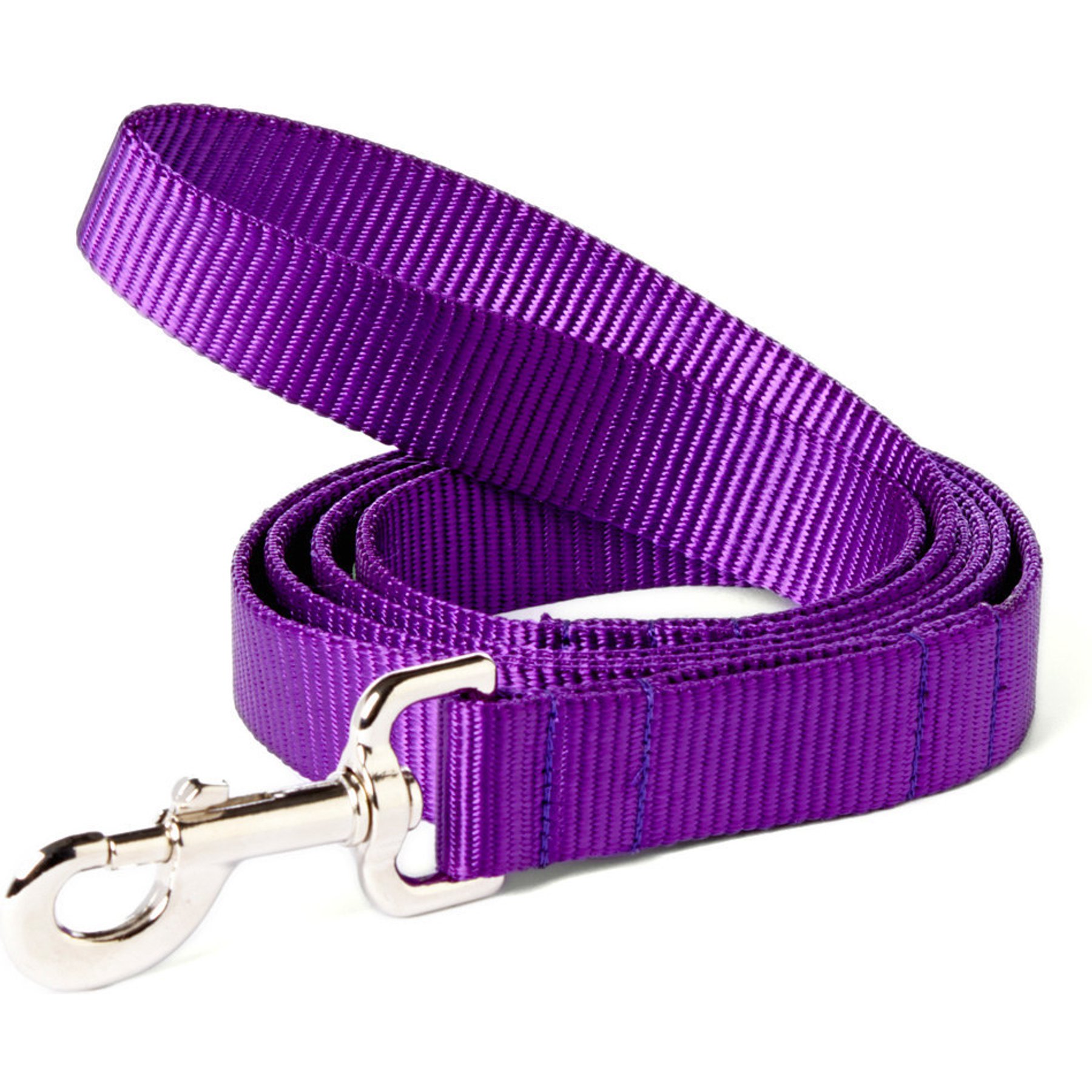 Mimi Green Shiny Silver Clip Nylon Standard Dog Leash, Purple, 6-ft long, 5/8-in wide