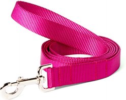 Mimi Green Shiny Silver Clip Nylon Standard Dog Leash, Raspberry, 6-ft long, 1-in wide