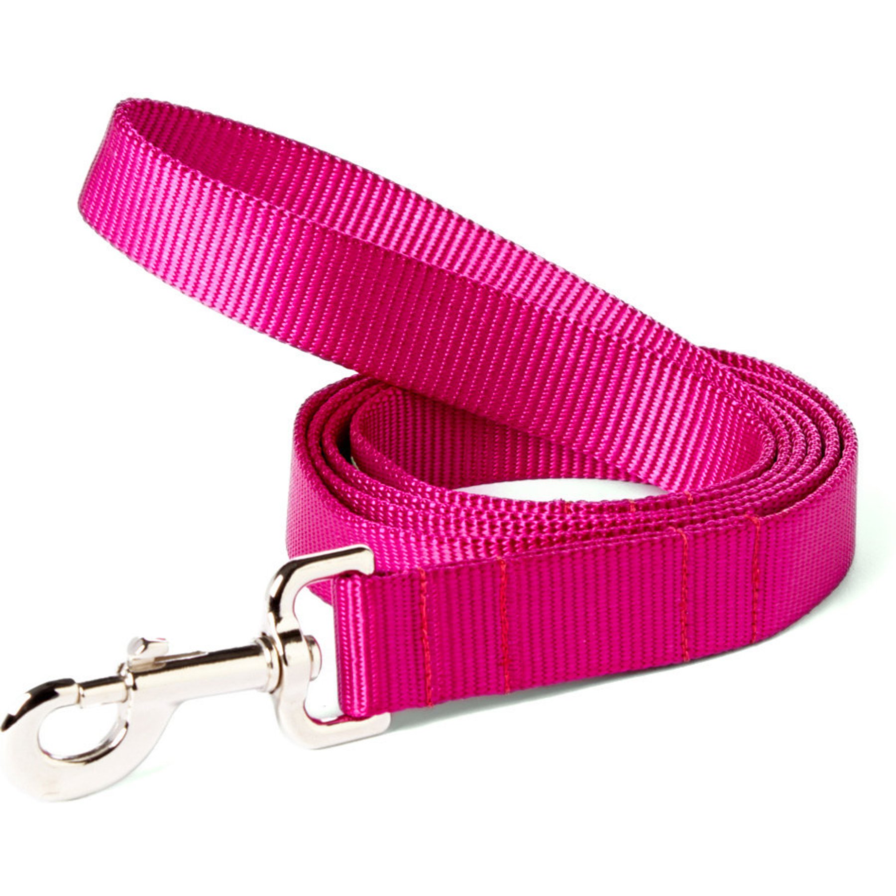 Mimi Green Shiny Silver Clip Nylon Standard Dog Leash, Raspberry, 6-ft long, 1-in wide