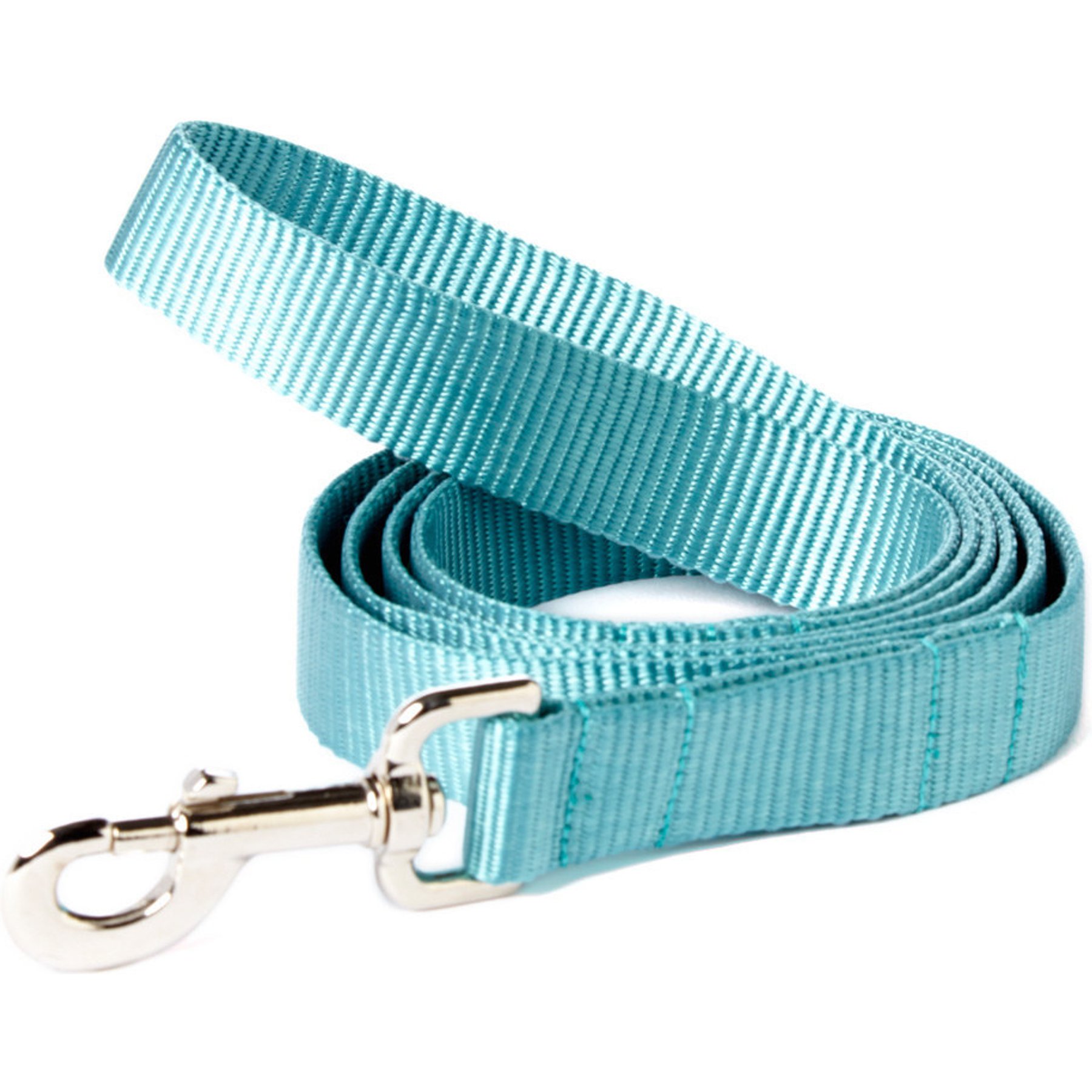 Mimi Green Shiny Silver Clip Nylon Standard Dog Leash, Teal, 6-ft long, 5/8-in wide