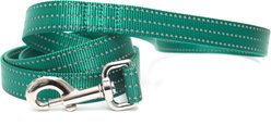 Mimi Green Shiny Silver Clip Reflective Standard Nylon Dog Leash, Forest Green, 5-ft long, 3/4-in wide