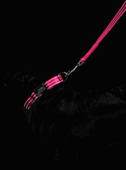 Mimi Green Shiny Silver Clip Reflective Standard Nylon Dog Leash, Forest Green, 6-ft long, 3/4-in wide slide 2 of 3