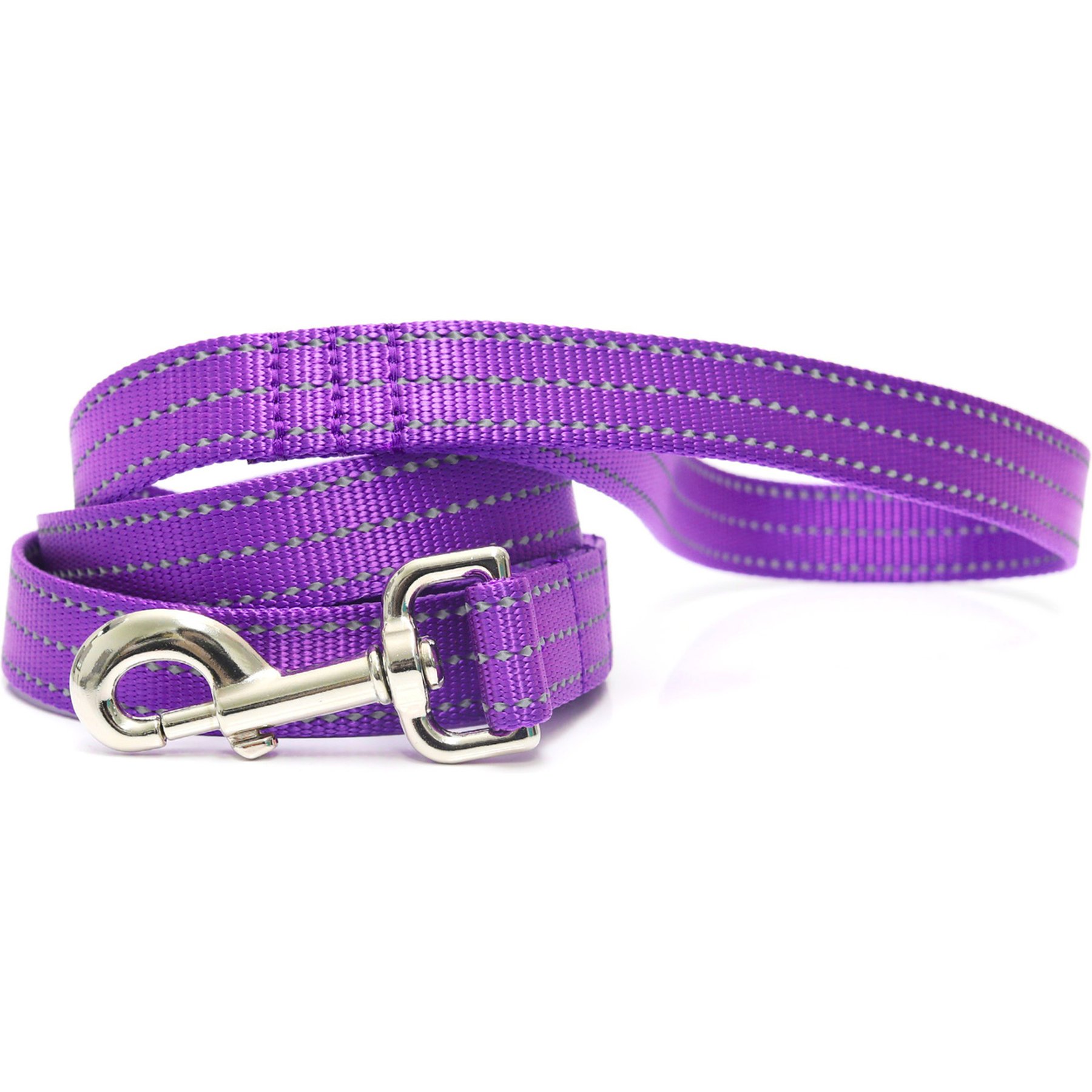 Mimi Green Shiny Silver Clip Reflective Standard Nylon Dog Leash, Purple, 5-ft long, 1-in wide