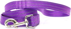 Mimi Green Shiny Silver Clip Reflective Standard Nylon Dog Leash, Purple, 6-ft long, 1-in wide