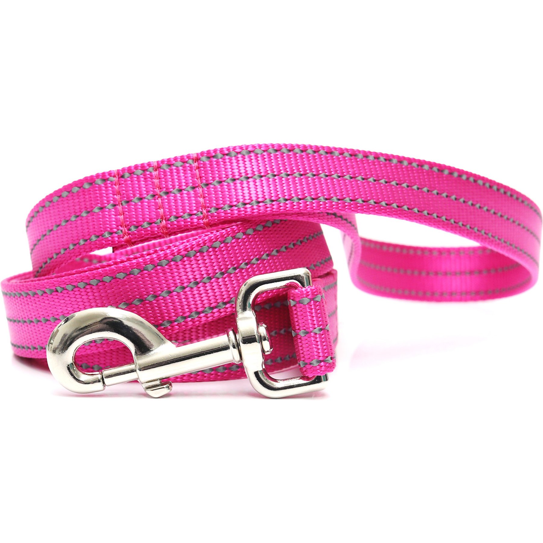 Mimi Green Shiny Silver Clip Reflective Standard Nylon Dog Leash, Raspberry, 5-ft long, 1-in wide