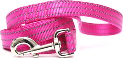 Mimi Green Shiny Silver Clip Reflective Standard Nylon Dog Leash, Raspberry, 6-ft long, 1-in wide