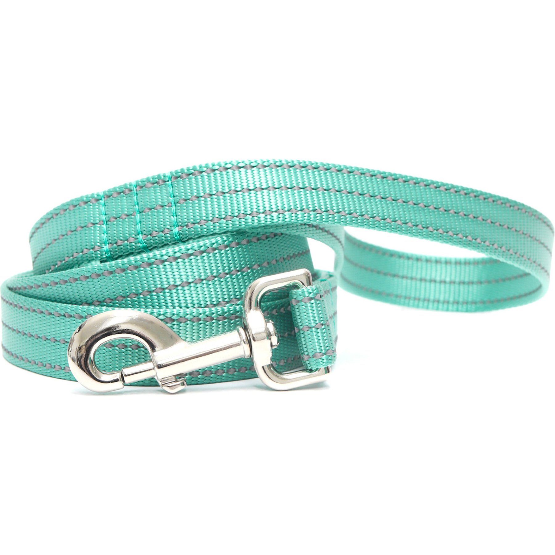 Mimi Green Shiny Silver Clip Reflective Standard Nylon Dog Leash, Teal, 5-ft long, 3/4-in wide