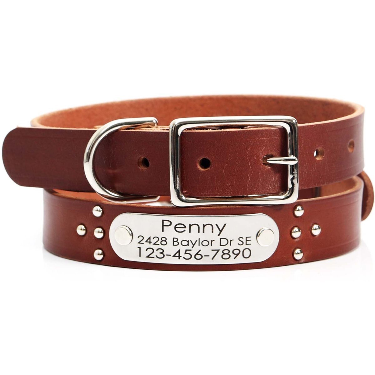 Mimi Green Studded Leather Dog Collar with Personalized Riveted Nameplate, Brown, Medium