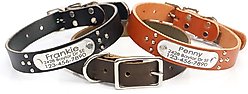 Mimi Green Studded Leather Dog Collar with Personalized Riveted Nameplate, Chestnut, X-Large slide 2 of 5