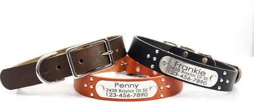 Show full view: Mimi Green Studded Leather Dog Collar with Personalized Riveted Nameplate, Chestnut, X-Small slide 3 of 5