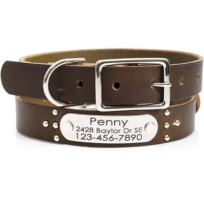 Mimi Green Mimi Green Studded Leather Dog Collar with Personalized Riveted Nameplate, Olive, Large