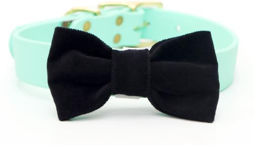 Show full view: Mimi Green Velveteen Bow Tie Dog Collar Accessory, Black, Medium slide 3 of 8