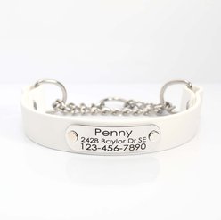 Mimi Green Waterproof Leather Martingale Dog Collar with Personalized ID Tag, Blanca, X-Large