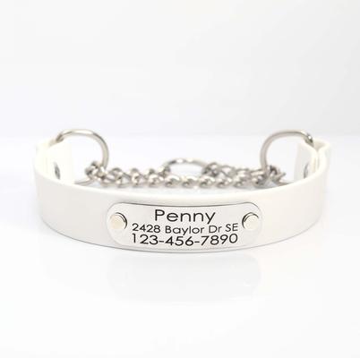 Show full view: Mimi Green Waterproof Leather Martingale Dog Collar with Personalized ID Tag, Blanca, X-Large slide 1 of 6