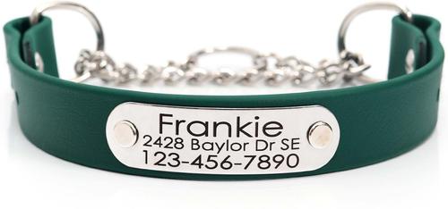 Show full view: Mimi Green Waterproof Leather Martingale Dog Collar with Personalized ID Tag, Forest Green, Large slide 1 of 6