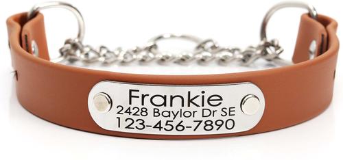 Show full view: Mimi Green Waterproof Leather Martingale Dog Collar with Personalized ID Tag, Mesa, Medium slide 1 of 7