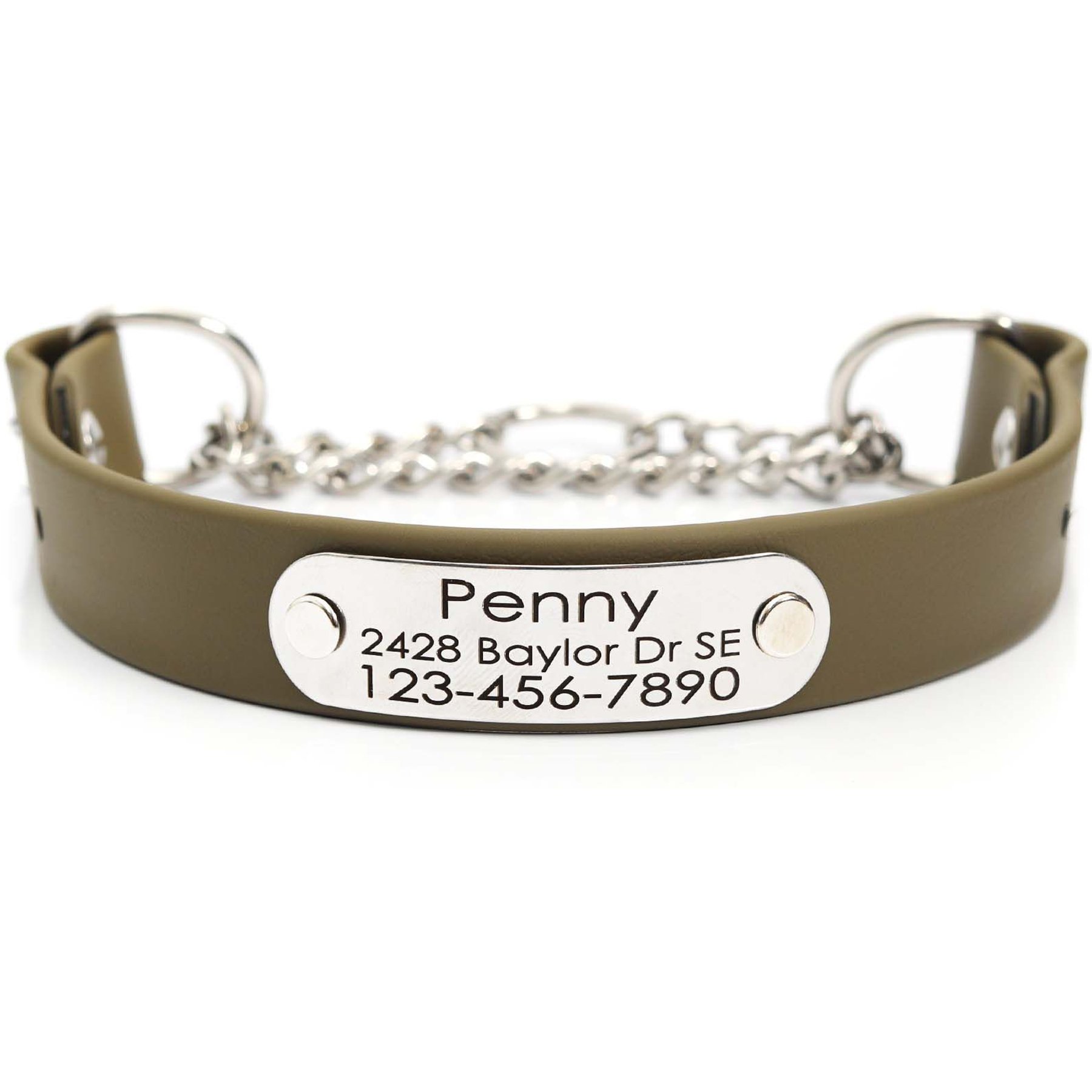 Mimi Green Waterproof Leather Martingale Dog Collar with Personalized ID Tag, Olive, Medium/Long