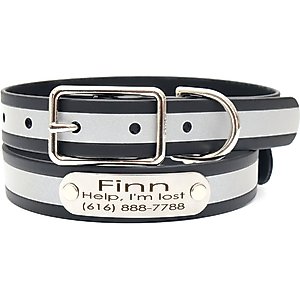 Frisco Midnight Floral Polyester Personalized Dog Collar