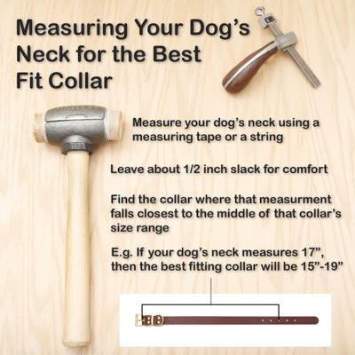 Show full view: Mimi Green Waterproof Reflective with Riveted Name Plate Dog Collar, Pink, Medium 3/4" slide 4 of 6