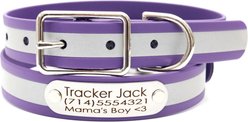 Mimi Green Waterproof Reflective with Riveted Name Plate Dog Collar, Purple, Medium 3/4"