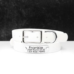 Mimi Green Waterproof with Riveted Name Plate Dog Collar, Blanca, Medium 1"