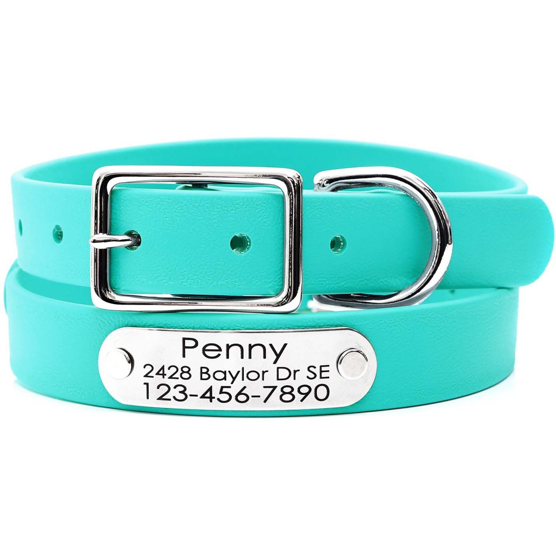 Mimi Green Waterproof with Riveted Name Plate Dog Collar, Teal, Small 3/4"