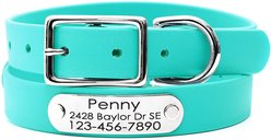 Mimi Green Waterproof with Riveted Name Plate Dog Collar, Teal, Small 5/8"