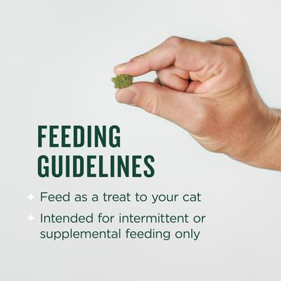 Show full view: Minties Chicken Flavored Cat Dental Treats, 10-oz bag slide 6 of 9