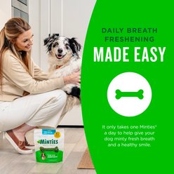 Minties Large Mint Flavored Dental Dog Treats 50+ lbs, 48-oz bag, 36 count slide 2 of 9