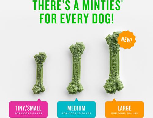 Show full view: Minties Large Mint Flavored Dental Dog Treats 50+ lbs, 48-oz bag, 36 count slide 6 of 12