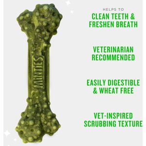 Minties Medium Mint Flavored Dental Treats for Dogs, 25-50 lbs, 32-oz, 40 count
