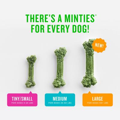 Show full view: Minties Tiny/Small Mint Flavored Dental Treats for Dogs, 5-24 lbs, 67 count slide 5 of 9
