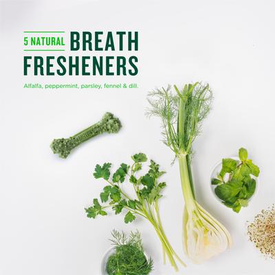 Show full view: Minties Tiny/Small Mint Flavored Dental Treats for Dogs, 5-24 lbs, 16-oz, 40 count slide 7 of 12