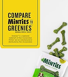 Minties Tiny/Small Mint Flavored Dental Treats for Dogs, 5-24 lbs, 16-oz, 40 count slide 2 of 9