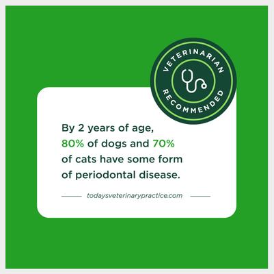 Show full view: Minties Twists Small Vanilla Mint Dental Dog Treats, 12-oz bag, count varies slide 8 of 10