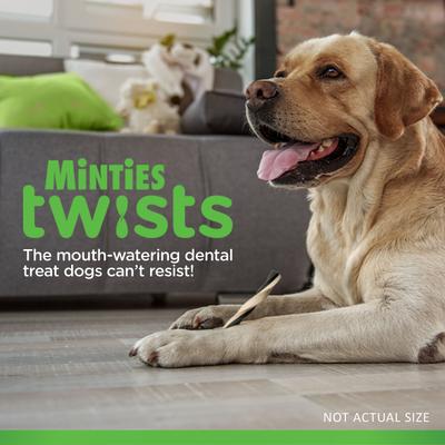 Show full view: Minties Twists Small Vanilla Mint Dental Dog Treats, 24-oz bag, count Varies slide 4 of 8