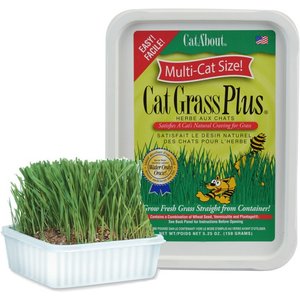 Miracle Care Cat A'bout Herbs & Spices Cat Grass Plus, 5.25-oz container