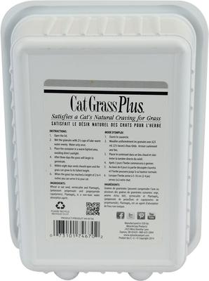 Show full view: Miracle Care Cat A'bout Herbs & Spices Cat Grass Plus, 5.25-oz container slide 3 of 10